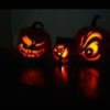 michael_turpin